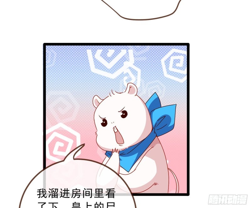 87.jpg