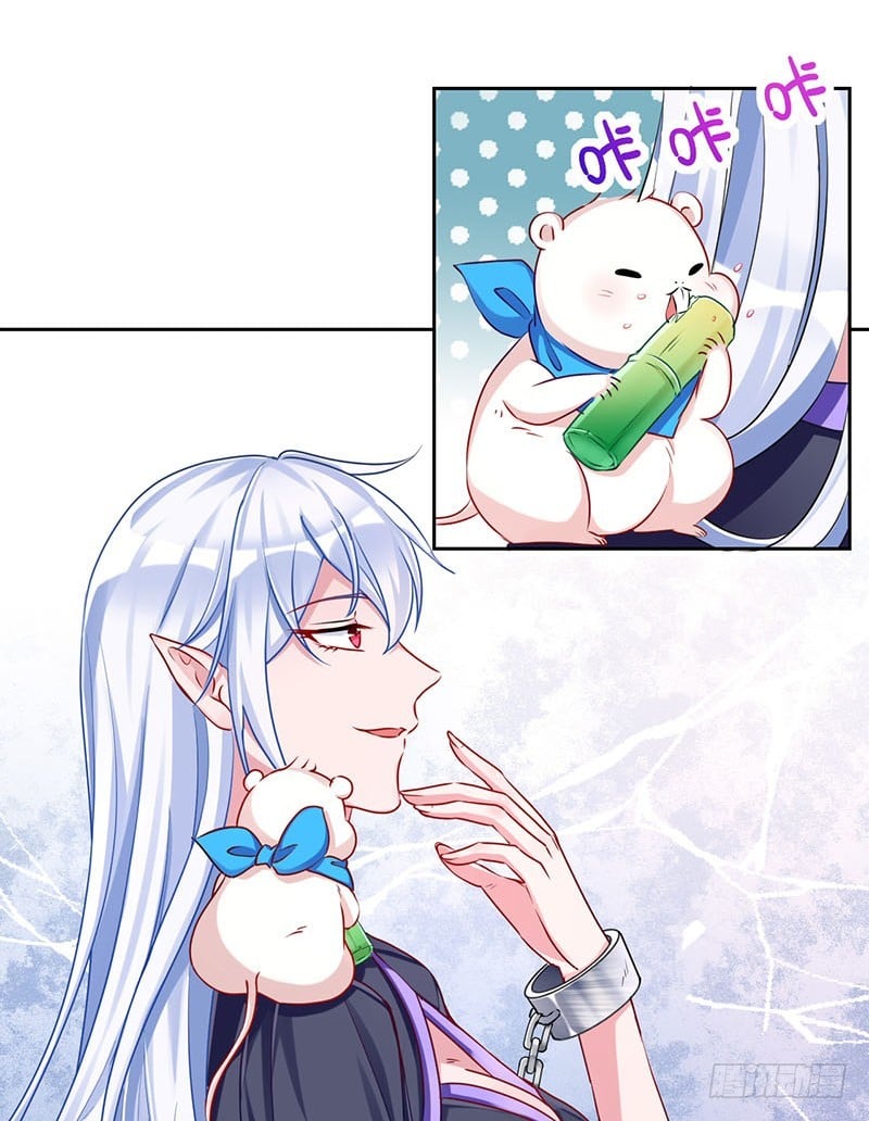 35.jpg