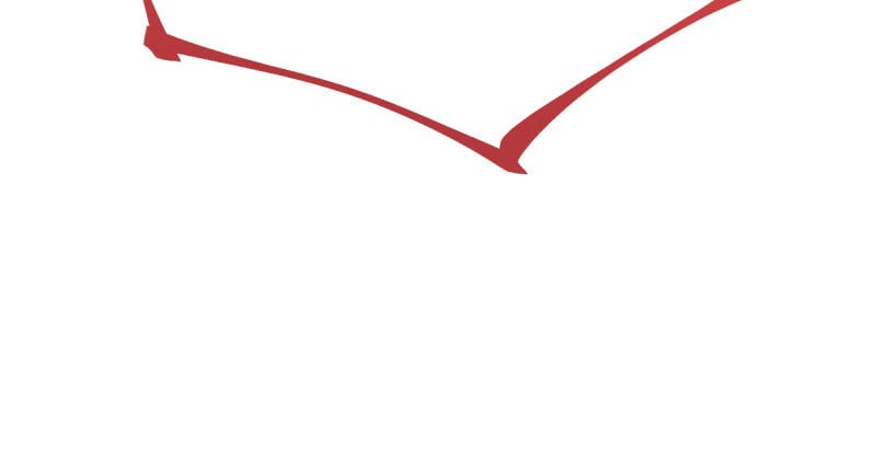 51.jpg