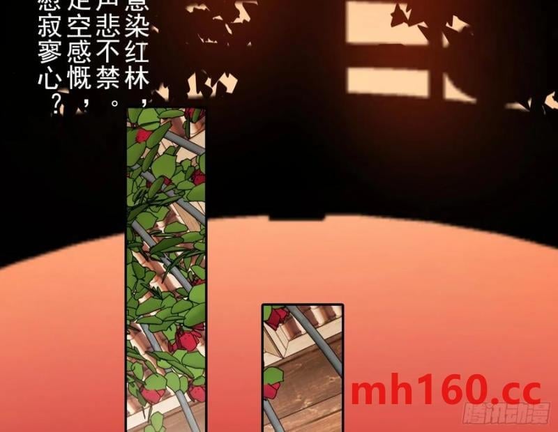 55.jpg