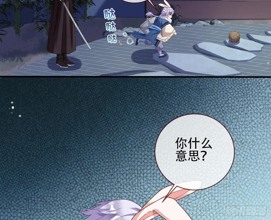 47.jpg