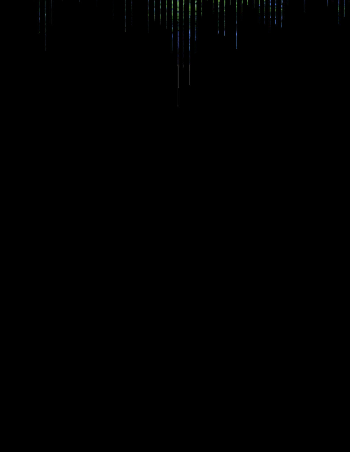 81.jpg