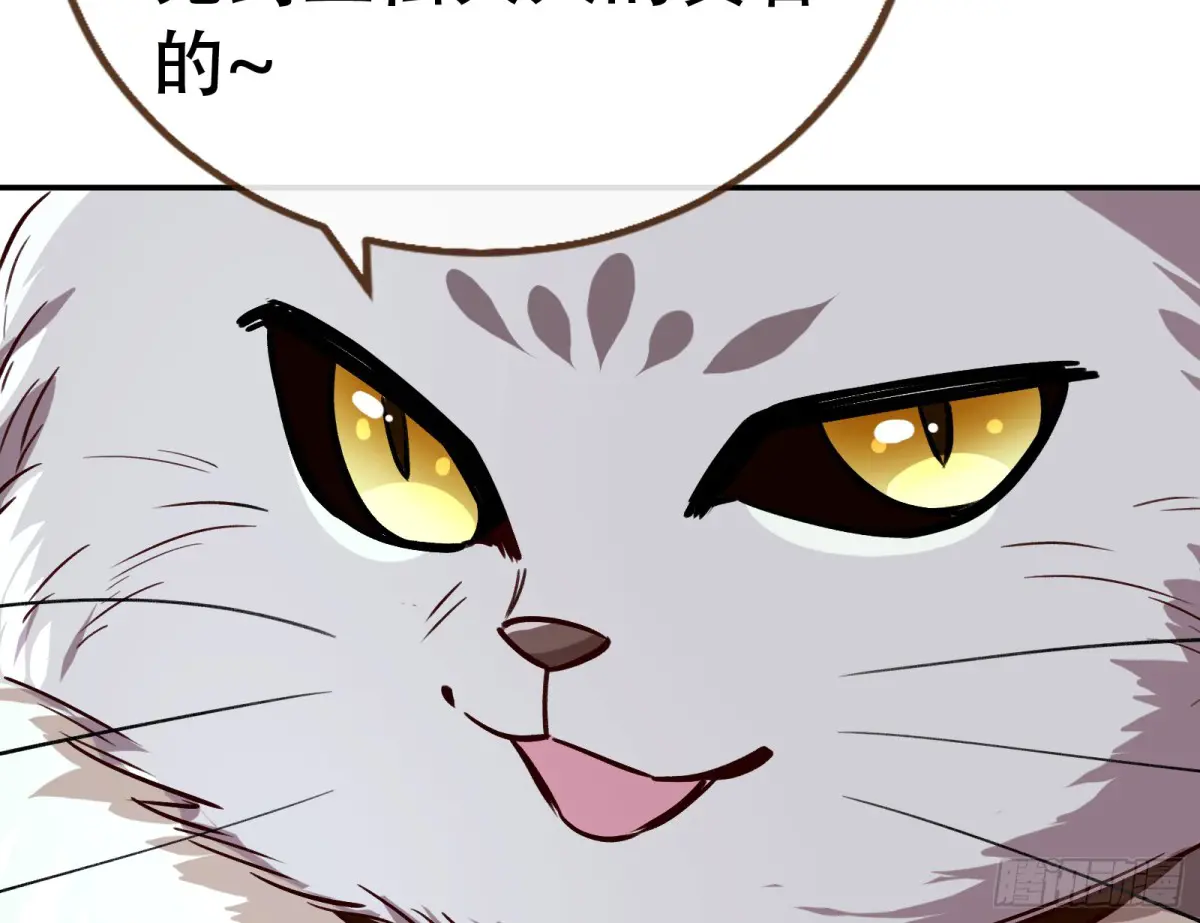 247.jpg