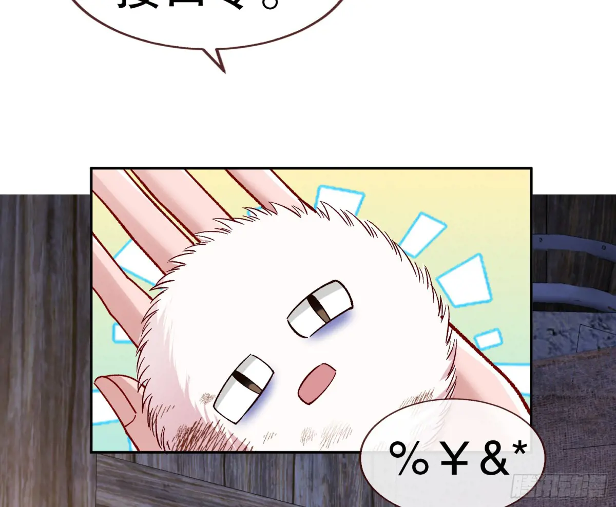 113.jpg