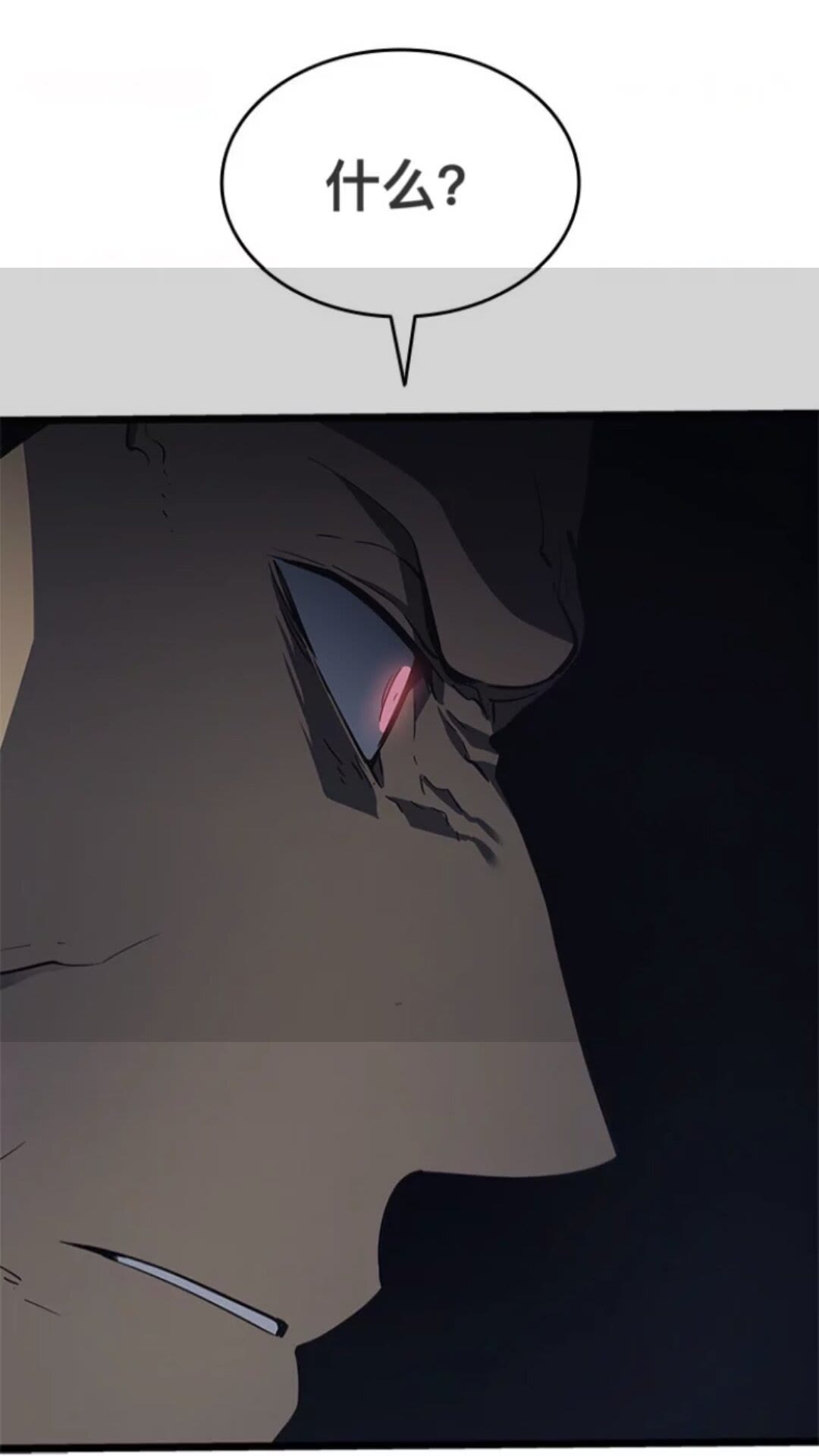 49.jpg