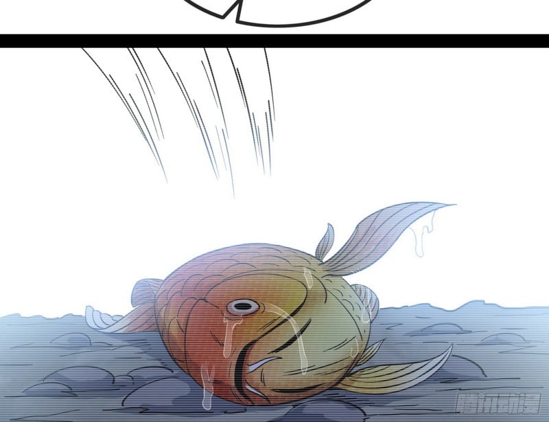 75.jpg