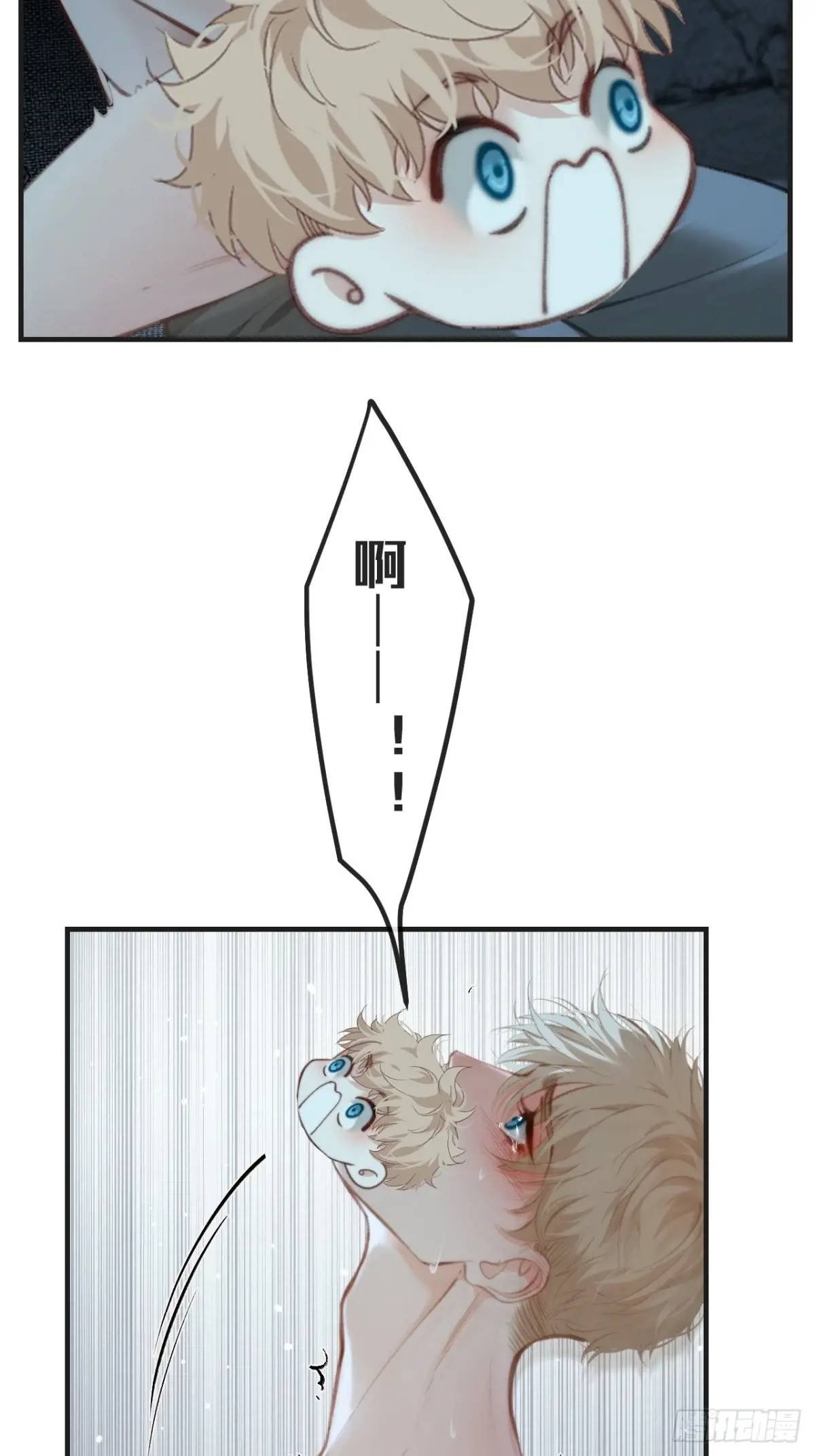 31.jpg