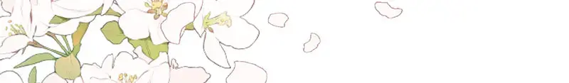 265.jpg