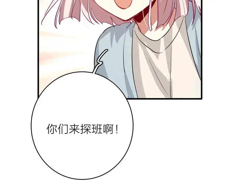 233.jpg