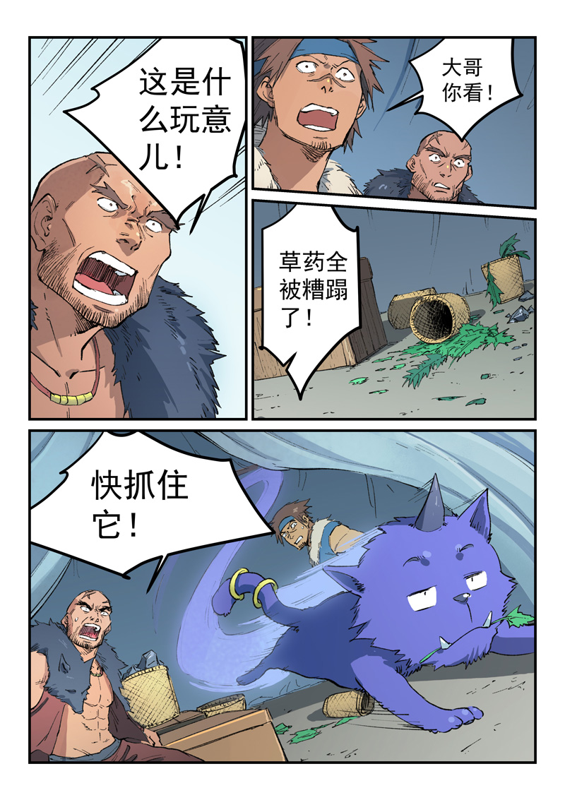 6.jpg