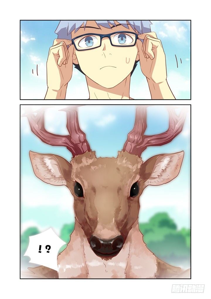 11.jpg