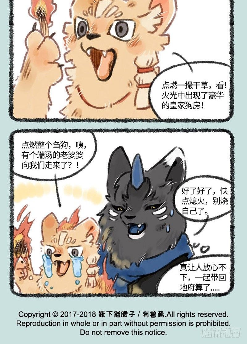 6.jpg