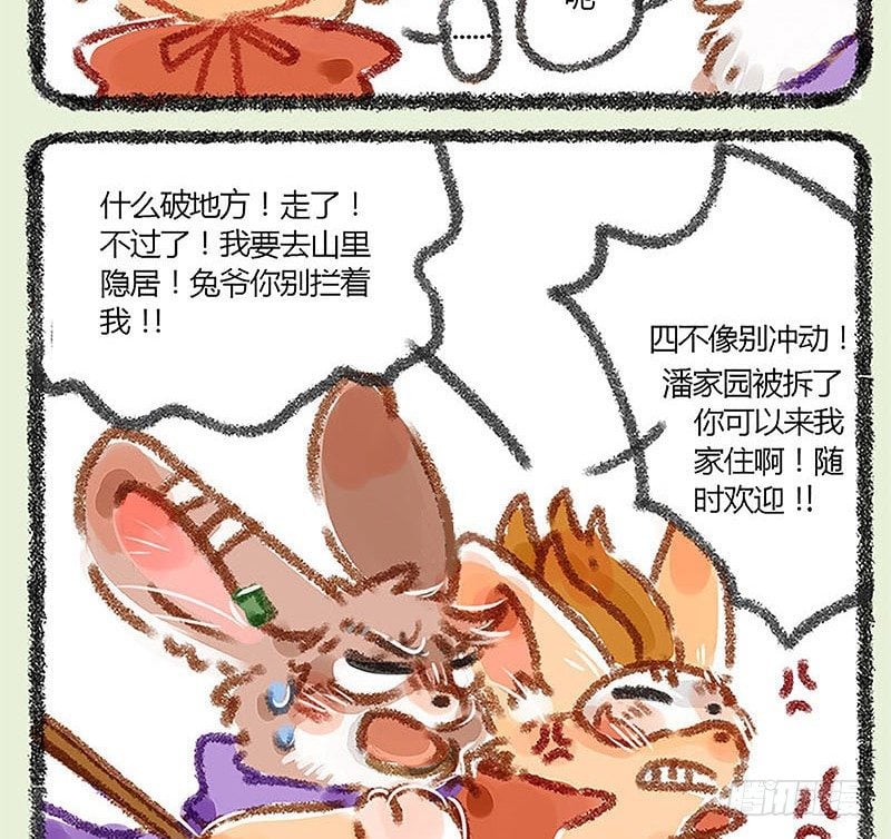 14.jpg