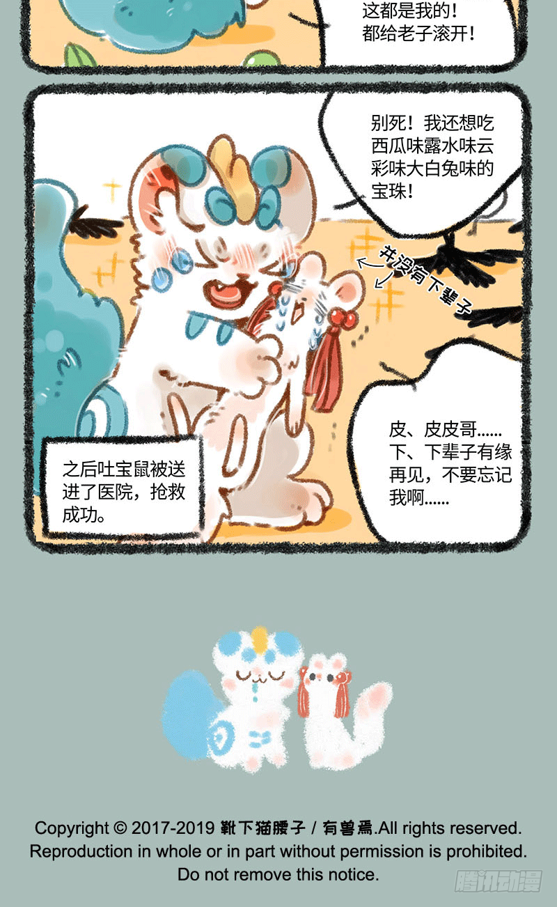 6.jpg