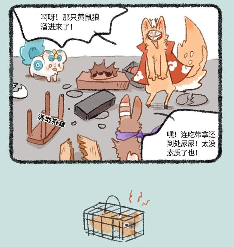 4.jpg