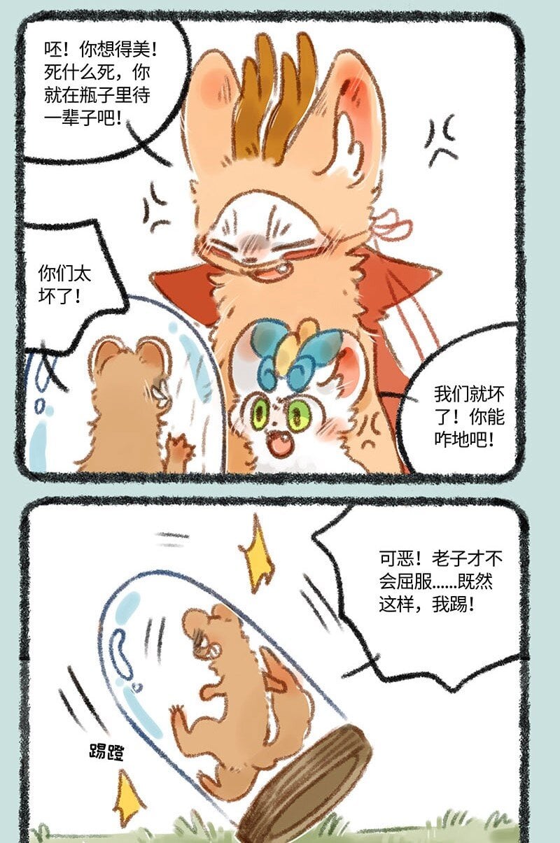6.jpg