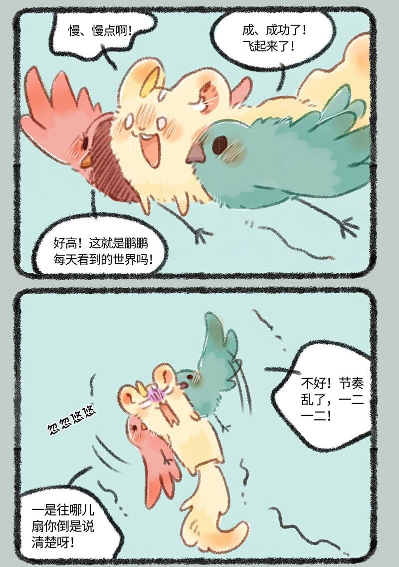 6.jpg