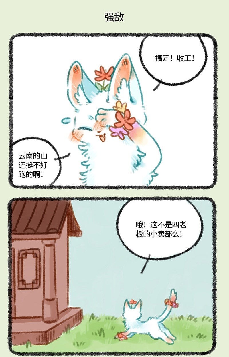 5.jpg