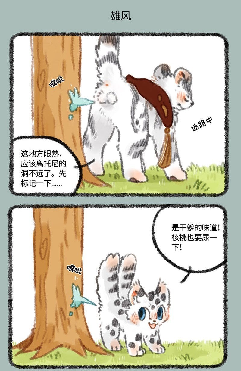 5.jpg