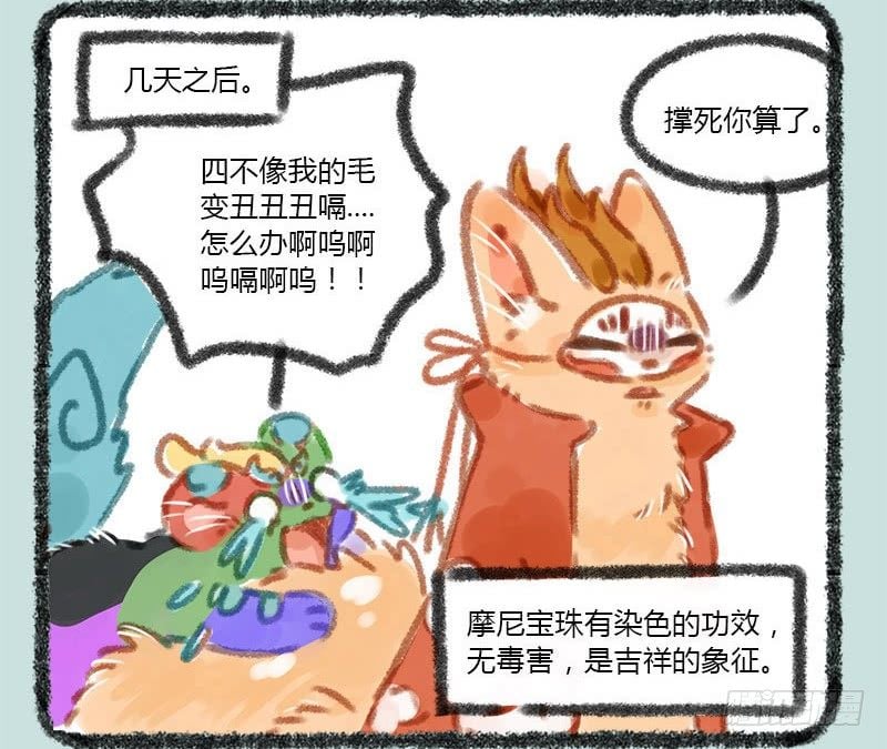 13.jpg