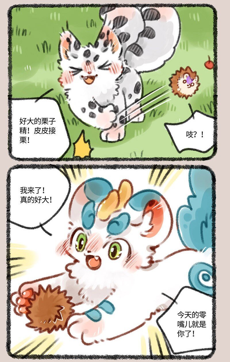 5.jpg