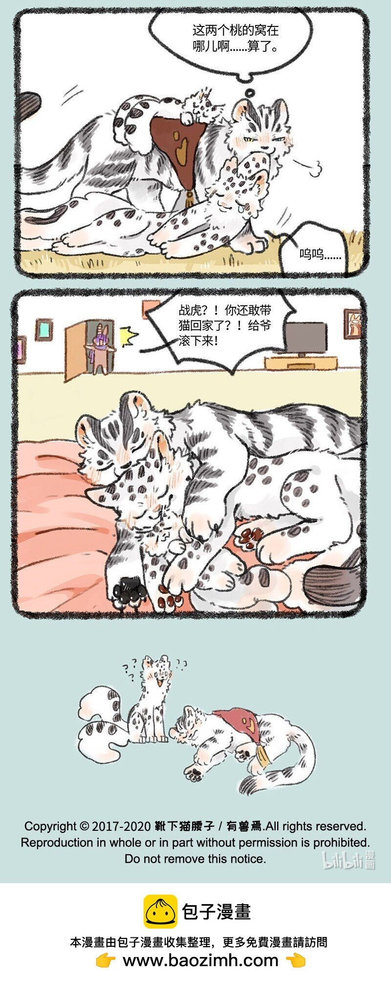 6.jpg