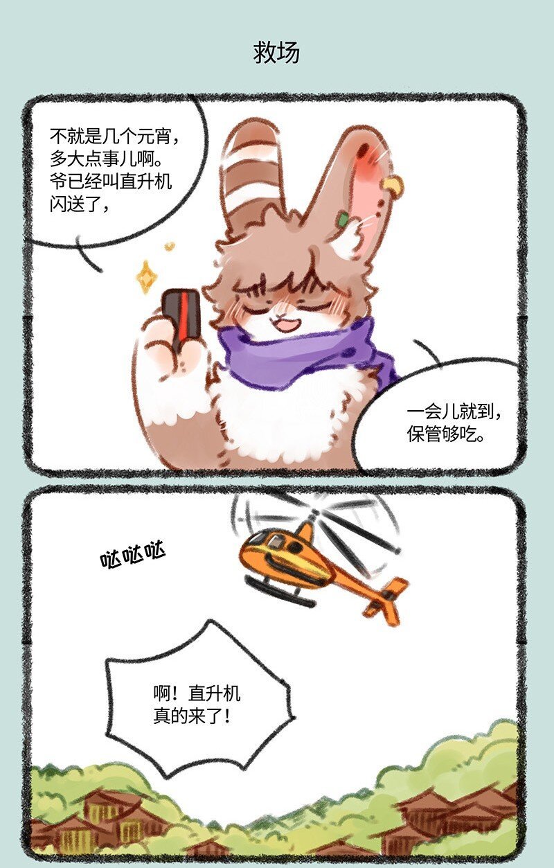 5.jpg