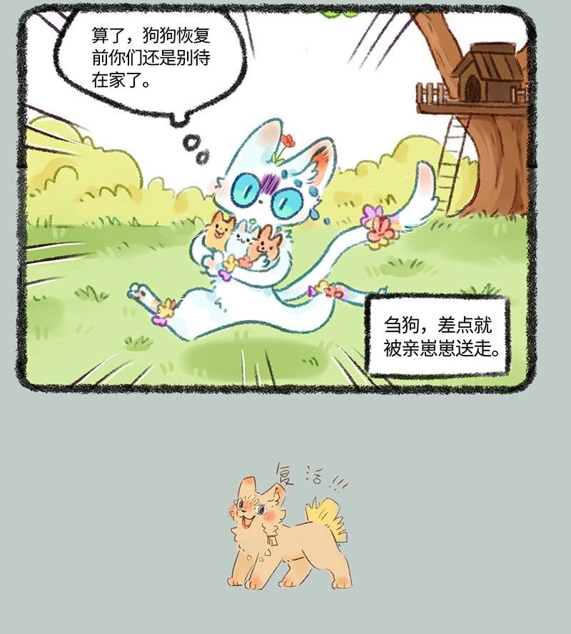 4.jpg