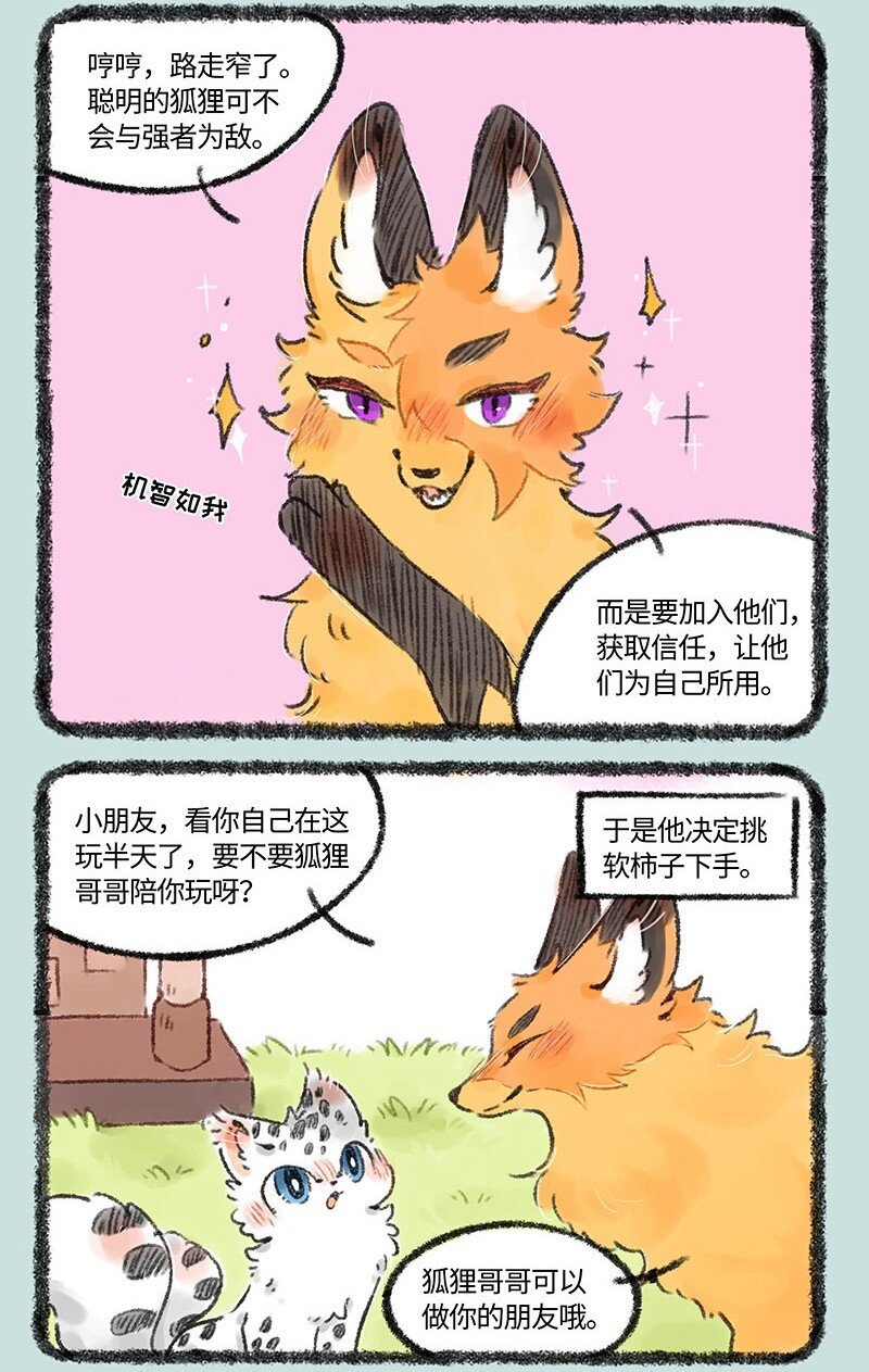 6.jpg