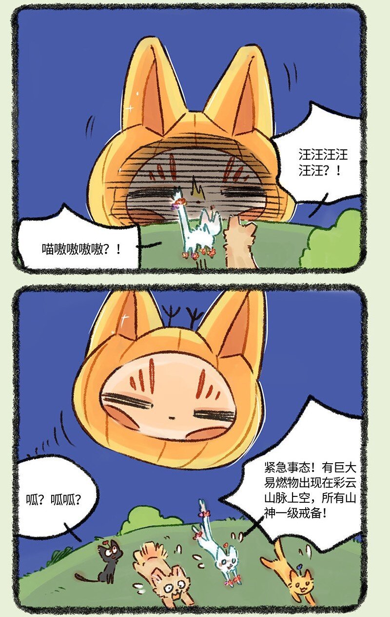 6.jpg
