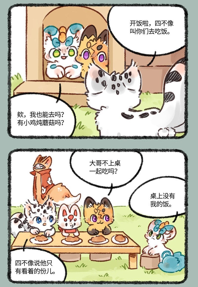 5.jpg