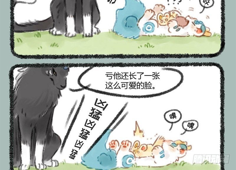 8.jpg
