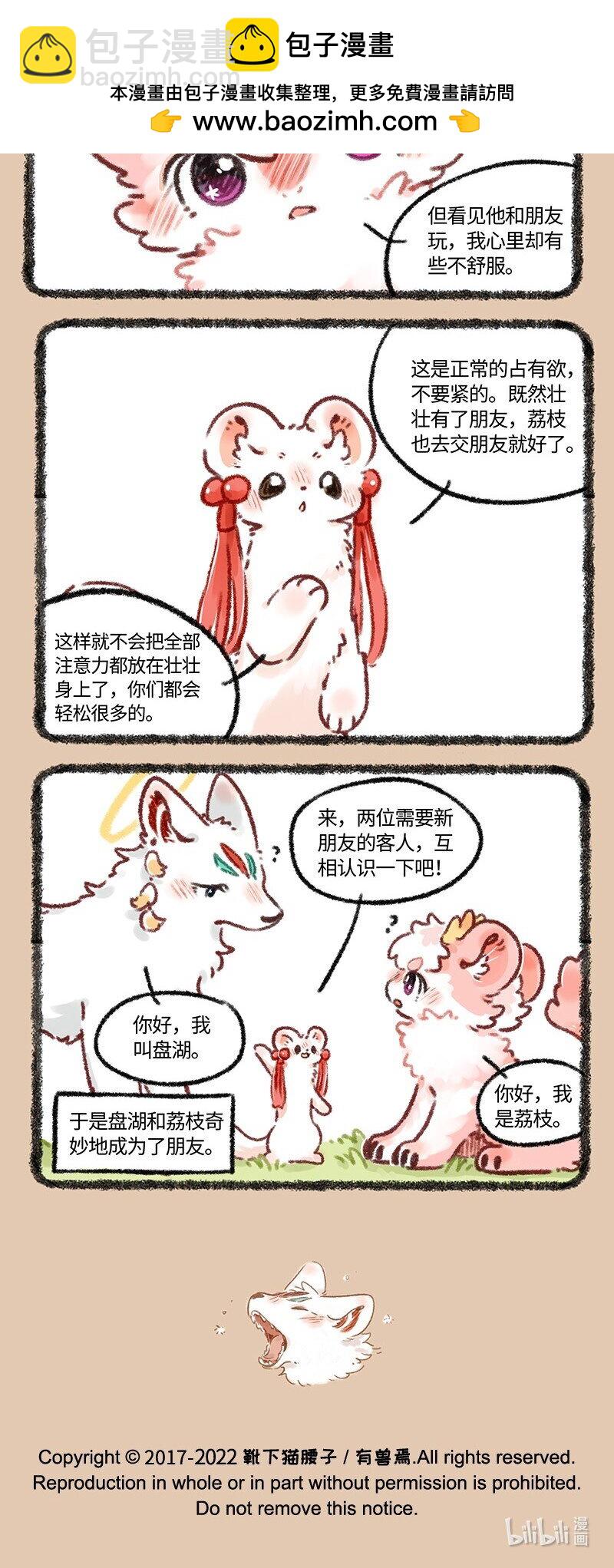 4.jpg
