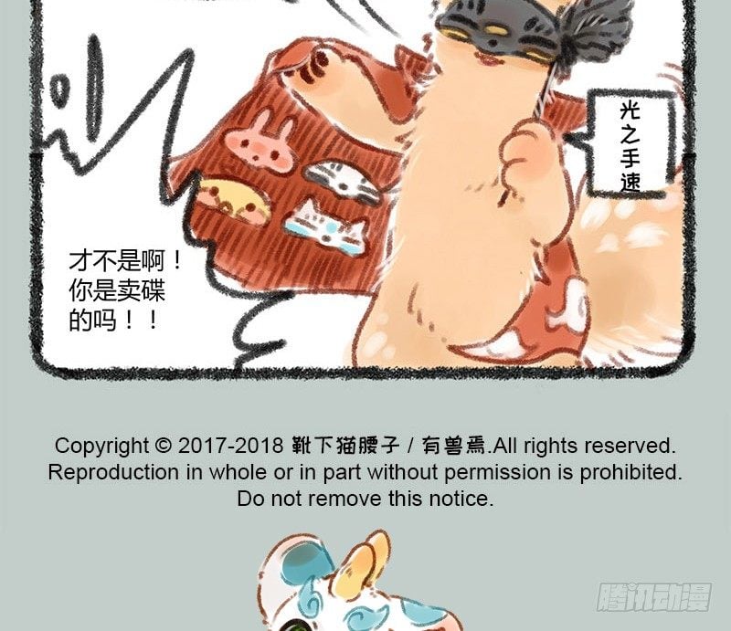 11.jpg