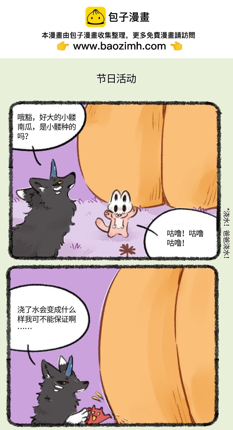 5.jpg