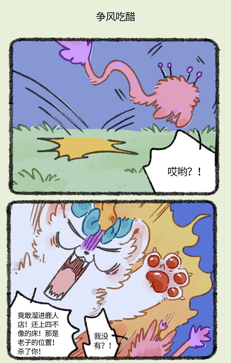 5.jpg