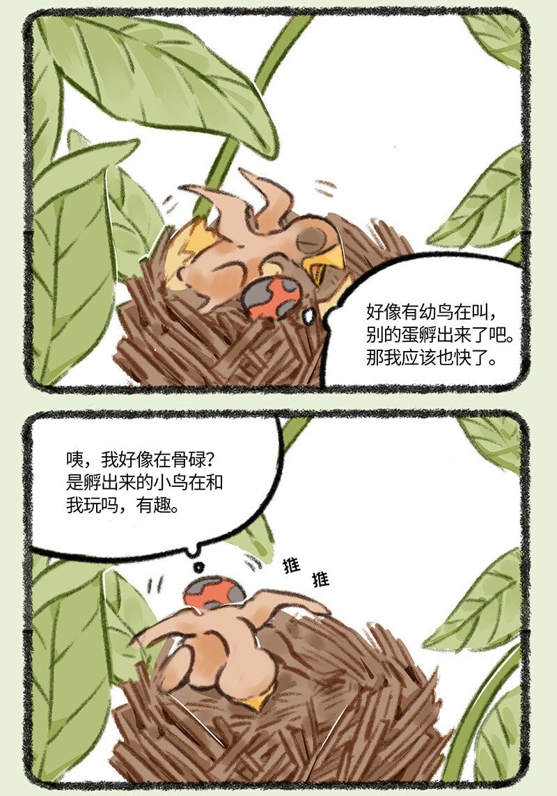 3.jpg