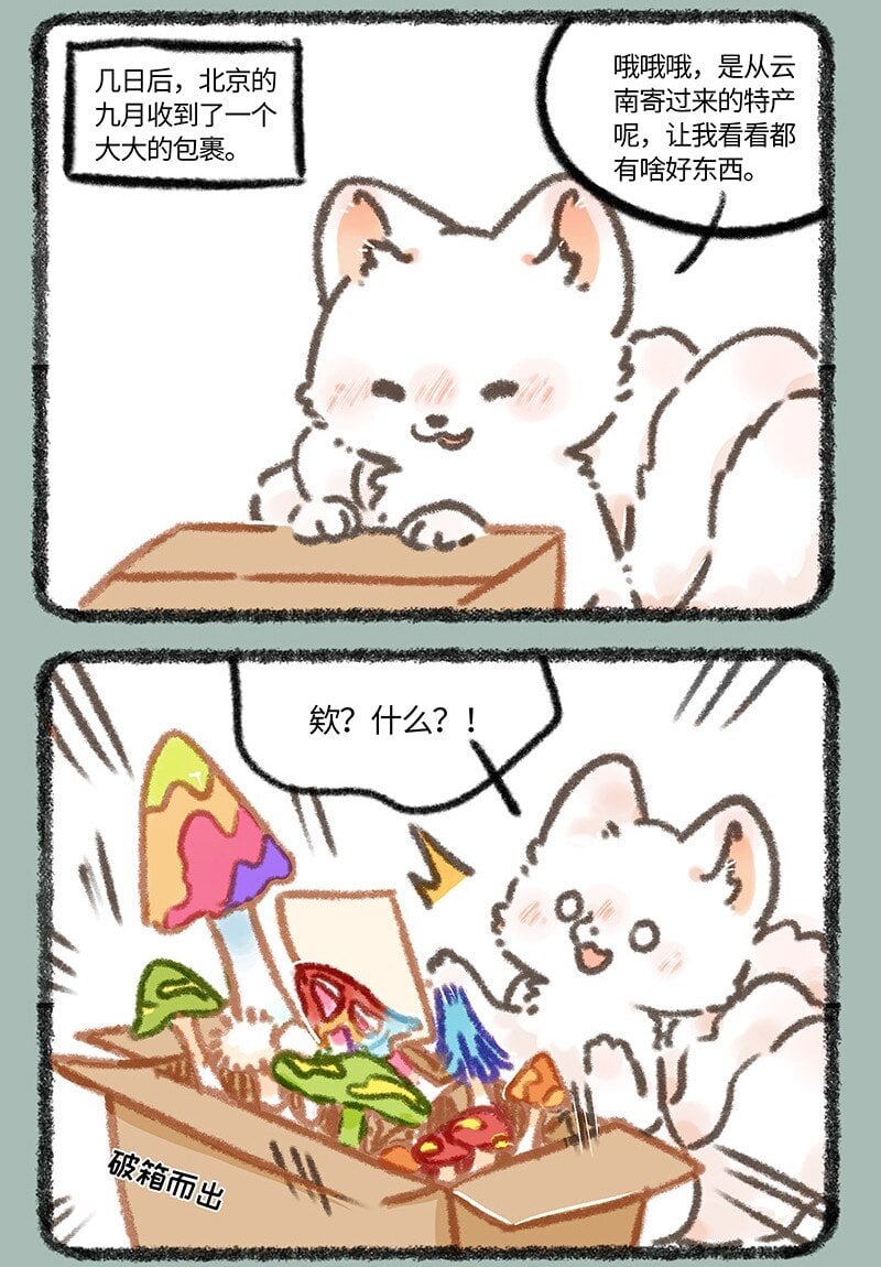 6.jpg