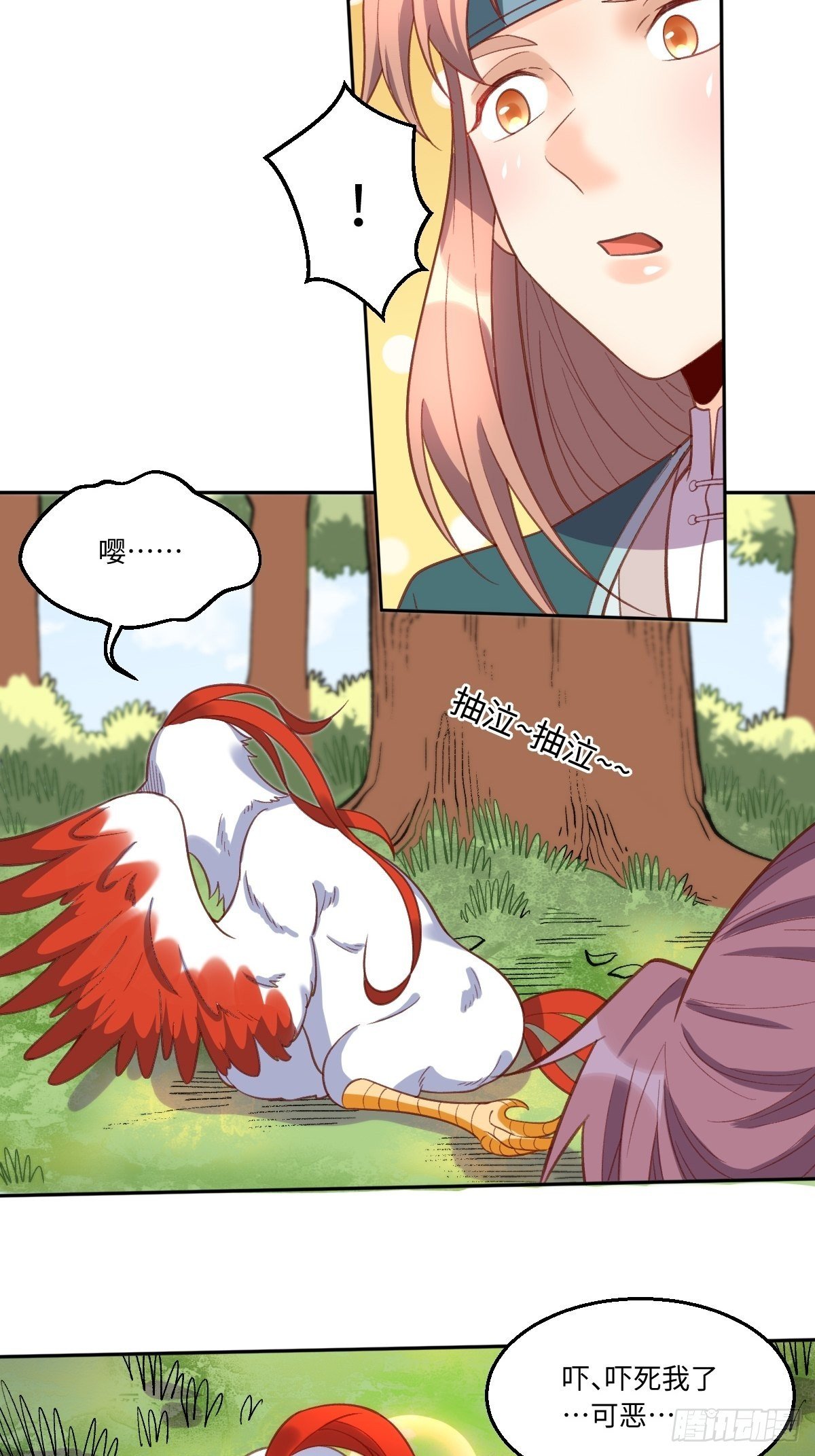 25.jpg