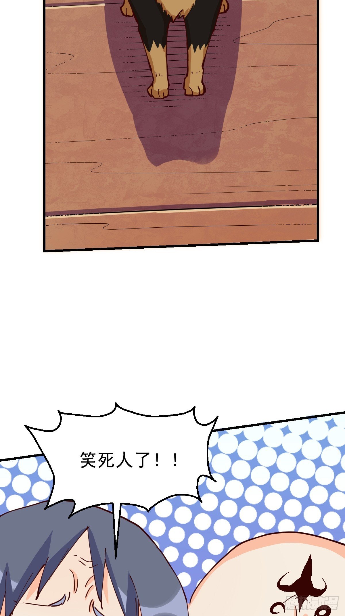 19.jpg