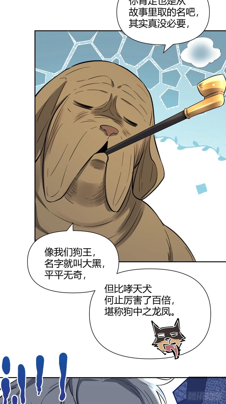 41.jpg