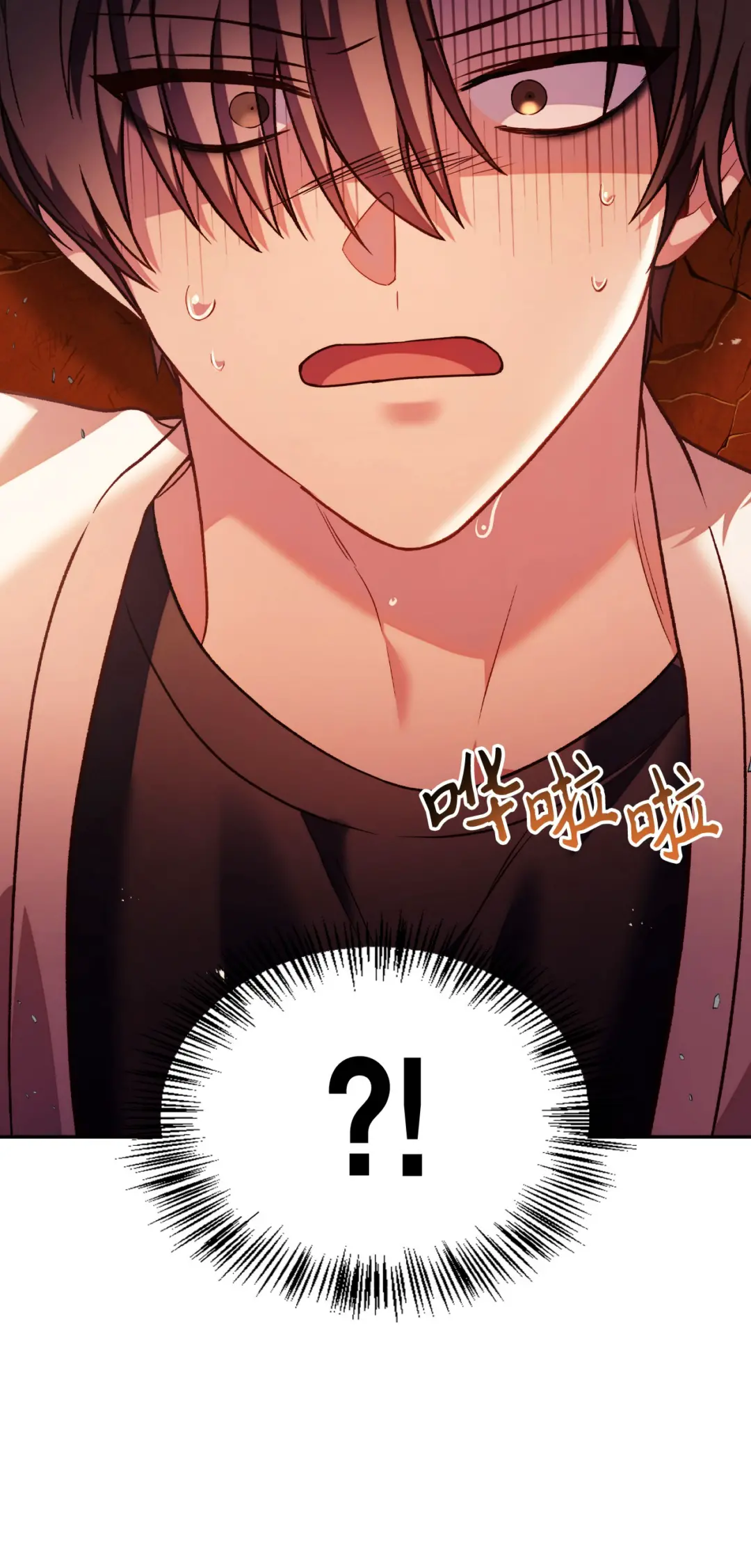113.jpg