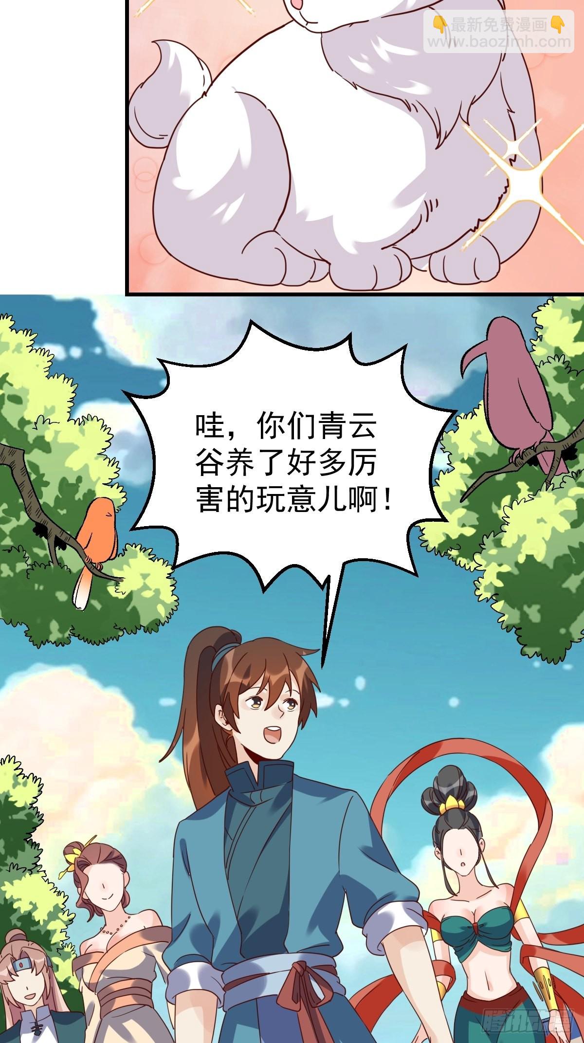 17.jpg