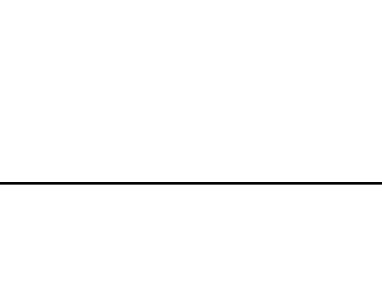 95.jpg