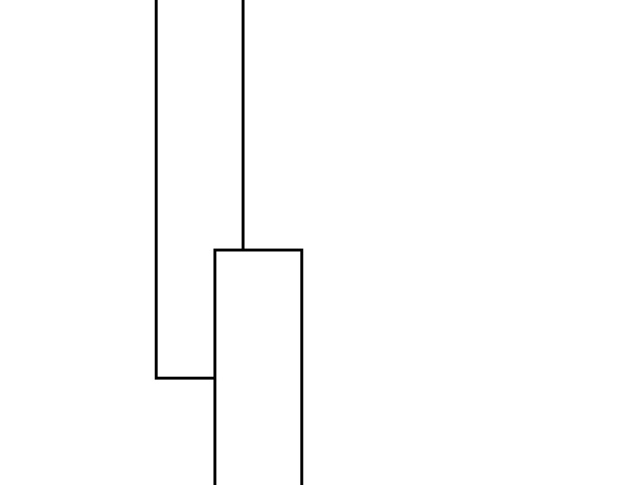 67.jpg