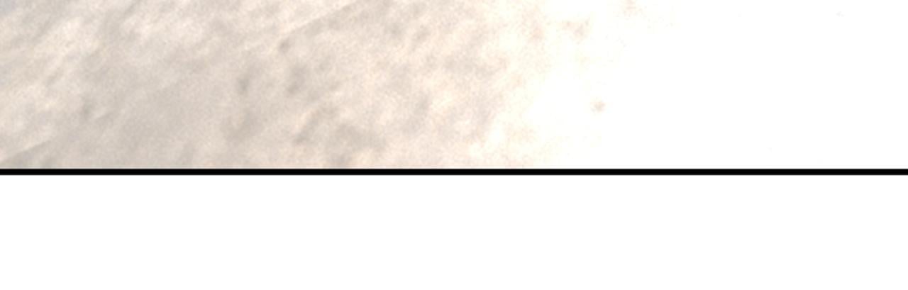 95.jpg
