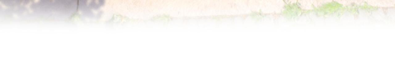 93.jpg